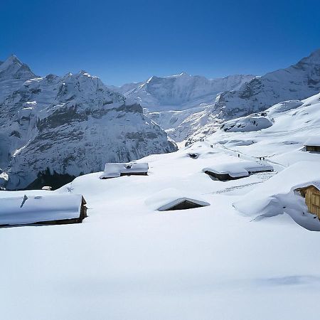 Holiday Home Chalet Ahornen By Interhome Grindelwald Exteriér fotografie
