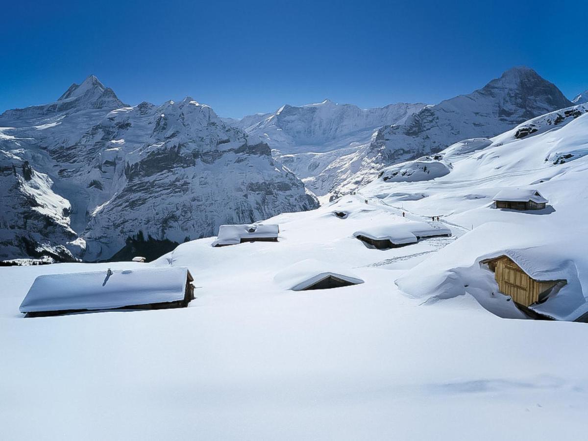 Holiday Home Chalet Ahornen By Interhome Grindelwald Exteriér fotografie